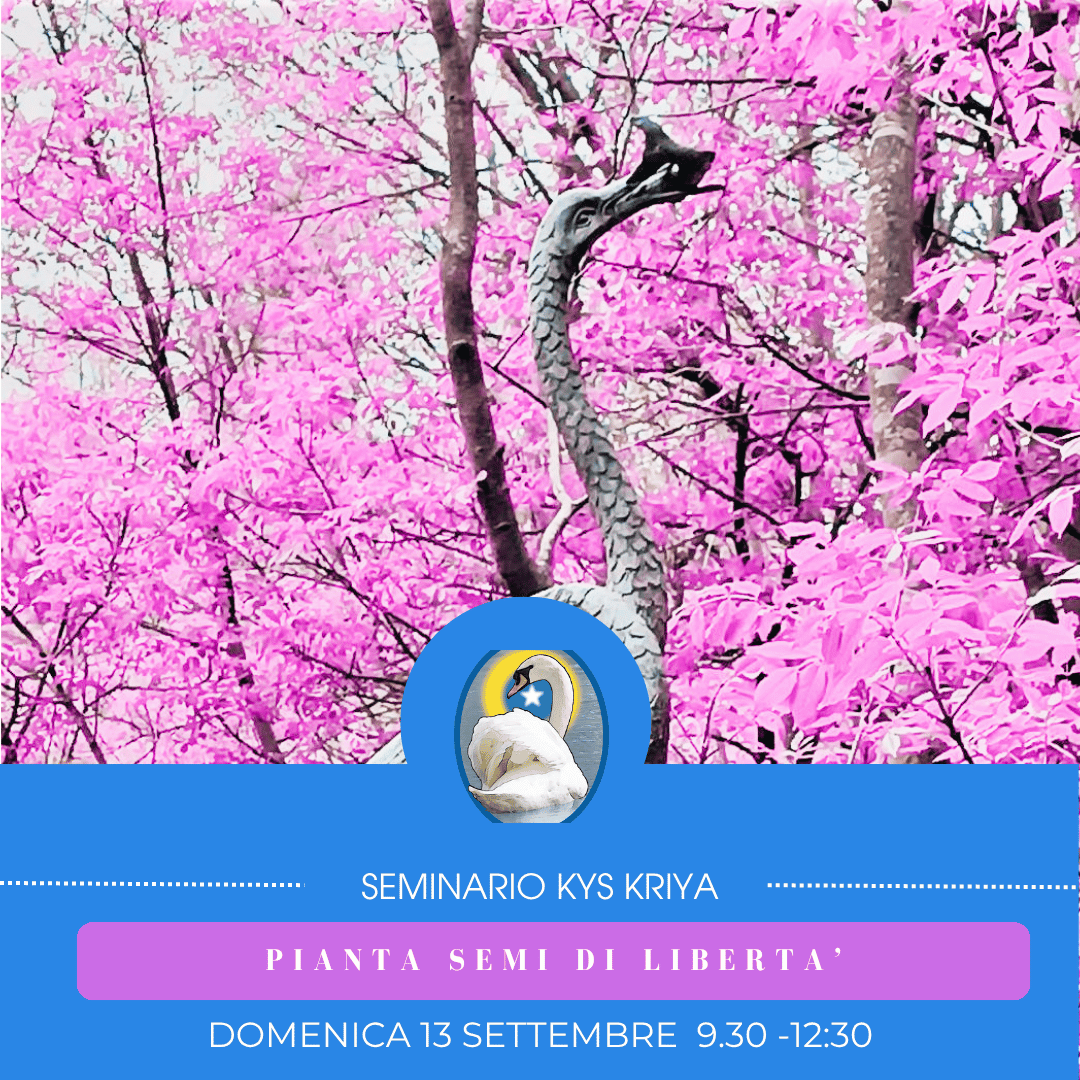 SEMINARIO KYS KRIYA:Pianta Semi di Libertà